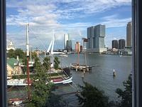 Img 5646